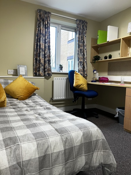 Bed with desk and shelves
