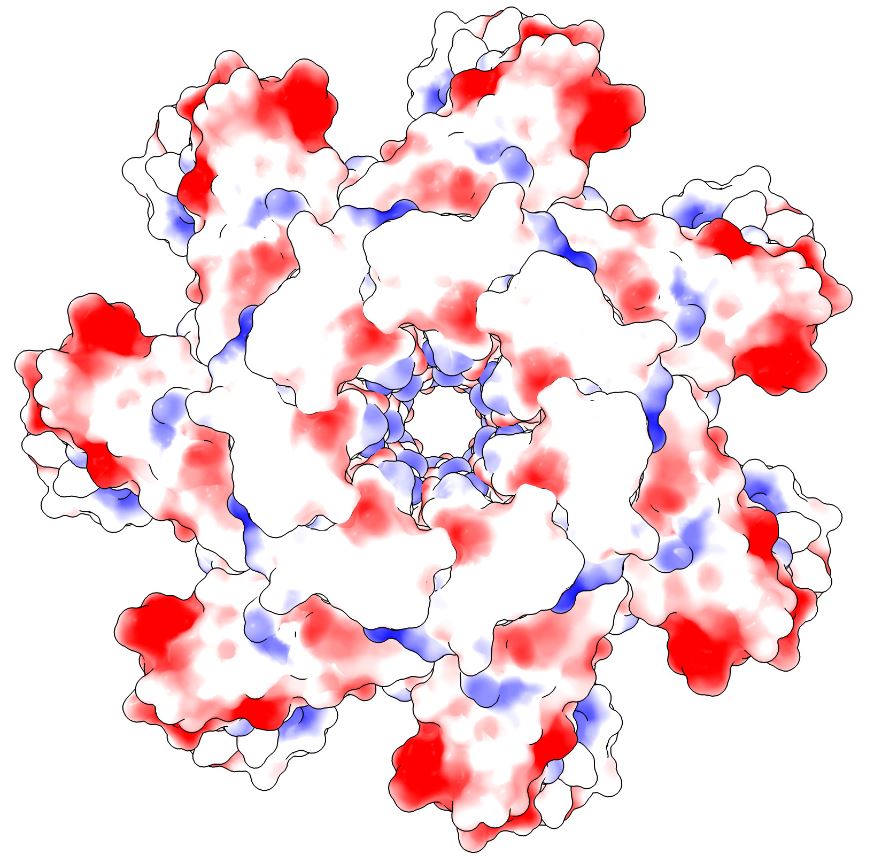 RIHS Protein